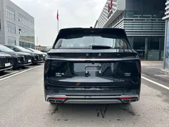 2024 Hongqi HS7 2.0T PHEV 4WD 6, чёрный — фото 5