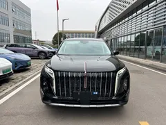 2024 Hongqi HS7 2.0T PHEV 4WD 6, чёрный — фото 2