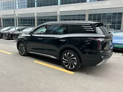 2024 Hongqi HS7 2.0T PHEV 4WD 6, чёрный — фото 16