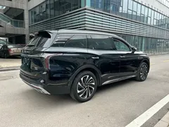 2024 Hongqi HS7 2.0T PHEV 4WD 6, чёрный — фото 18