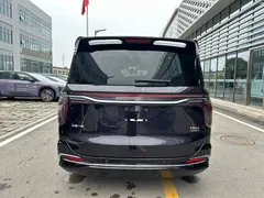 2024 Hongqi HQ9 2.0T 4WD — фото 14