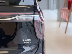 2024 Hongqi HQ9 2.0T 4WD — фото 4
