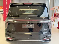 2024 Hongqi HQ9 2.0T 4WD — фото 5