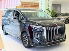 2024 Hongqi HQ9 2.0T 4WD — фото 8