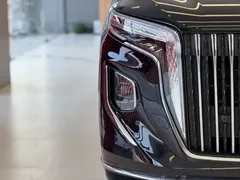 2024 Hongqi HQ9 2.0T 4WD — фото 9