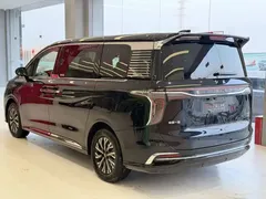 2024 Hongqi HQ9 2.0T 4WD — фото 19