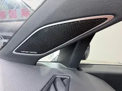 2021 Volkswagen Golf 280TSI DSG R-Line — фото 10