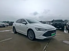 2021 BYD Qin PLUS 120KM, белый — фото 3