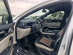 2021 BYD Qin PLUS 120KM, белый — фото 8