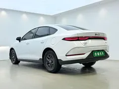 2025 BYD Seal 05 55KM, белый — фото 13