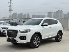 2020 Haval H6 1.5GDIT AT Platinum Champion, белый — фото 1