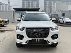 2020 Haval H6 1.5GDIT AT Platinum Champion, белый — фото 2