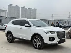 2020 Haval H6 1.5GDIT AT Platinum Champion, белый — фото 3