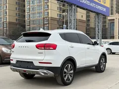 2020 Haval H6 1.5GDIT AT Platinum Champion, белый — фото 4