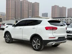 2020 Haval H6 1.5GDIT AT Platinum Champion, белый — фото 6
