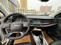 2020 Haval H6 1.5GDIT AT Platinum Champion, белый — фото 10