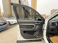 2020 Haval H6 1.5GDIT AT Platinum Champion, белый — фото 14