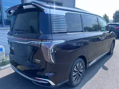 2024 Hongqi HQ9 2.0T 4WD Luxury — фото 9