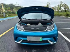 2023 BYD Dolphin 420km Fashion, синий — фото 18
