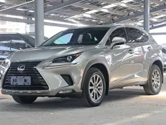 2020 Lexus NX 200 Fashion V — фото 1