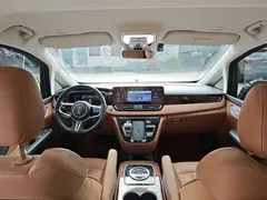 2023 Hongqi HQ9 2.0T — фото 6