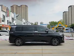 2023 Hongqi HQ9 2.0T — фото 13