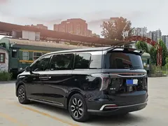 2023 Hongqi HQ9 2.0T — фото 16