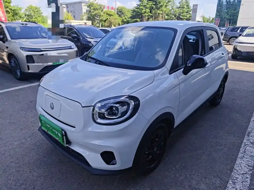 2023 Leapmotor T03 310