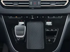 2024 Hongqi HQ9 2.0T 4WD Luxury — фото 11