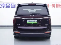 2024 Hongqi HQ9 2.0T 4WD Luxury — фото 25