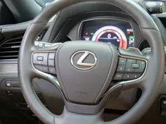 2021 Lexus LS 500h, чёрный — фото 13