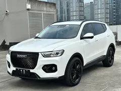 2021 Haval H6 2.0GDIT AT GT Luxury, белый — фото 1