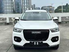 2021 Haval H6 2.0GDIT AT GT Luxury, белый — фото 2