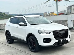 2021 Haval H6 2.0GDIT AT GT Luxury, белый — фото 3