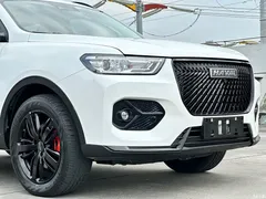 2021 Haval H6 2.0GDIT AT GT Luxury, белый — фото 5
