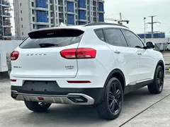 2021 Haval H6 2.0GDIT AT GT Luxury, белый — фото 7