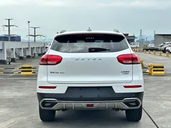 2021 Haval H6 2.0GDIT AT GT Luxury, белый — фото 8