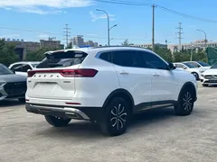 2021 Haval H6 1.5T AT Guochao Urban, белый — фото 7