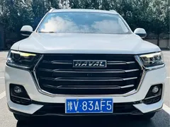 2021 Haval H6 1.5T AT, белый — фото 2