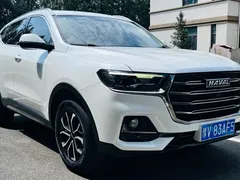 2021 Haval H6 1.5T AT, белый — фото 3