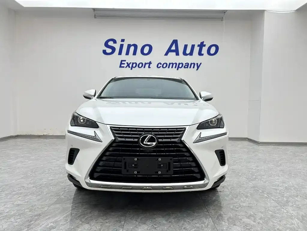 2020 Lexus NX 200 VI
