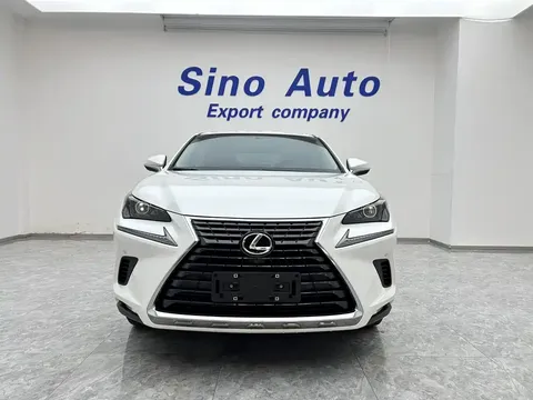 2020 Lexus NX 200 VI