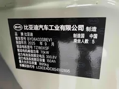 2025 BYD Yuan UP Smart Driving 401km Vitality, зелёный — фото 20