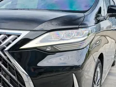 2020 Lexus LM 300h, чёрный — фото 6