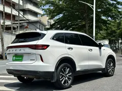 2021 Haval H6 3rd Gen 1.5T AT 2WD Max, белый — фото 24