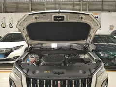 2023 Hongqi HS5 2.0T 4WD Pro — фото 20