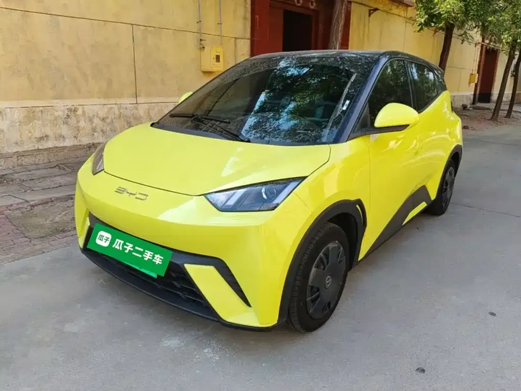 2024 BYD Seagull Honor 305km Vitality
