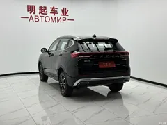 2021 Haval H6 Guochao 1.5T AT Urban — фото 8