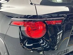 2023 Haval Havaldog PLUS 2.0T 4WD Chaoye Plus — фото 11
