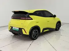 2024 BYD Seagull Glory 305km freedom — фото 8